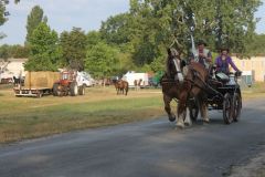 IMG_1606_resultat
