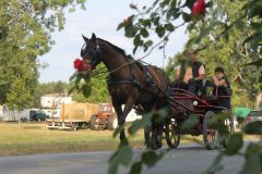 IMG_1608_resultat