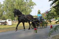 IMG_1610_resultat